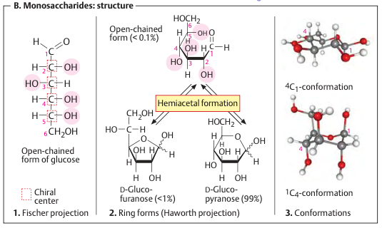 Chemistry of Carbohydrates: Monosaccharide Structure